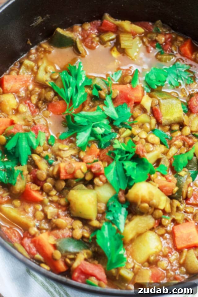 A hearty and vibrant one-pot vegetable and lentil stew garnished with fresh parsley, served in a rustic pot