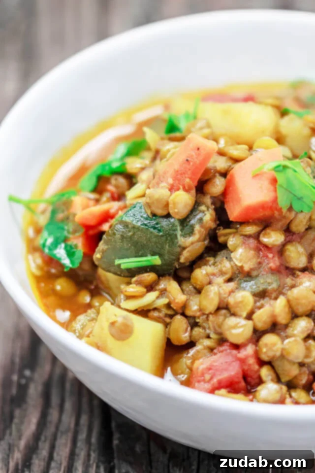 A bowl of hot, hearty vegetable and green lentil stew, ready to be enjoyed