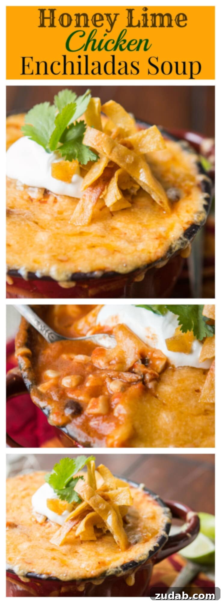 Honey Lime Chicken Enchilada Soup 2 Delicious and easy Honey Lime Chicken Enchiladas Soup recipe from Oh Sweet Basil. Perfect for using leftovers and full of vibrant Mexican flavors.