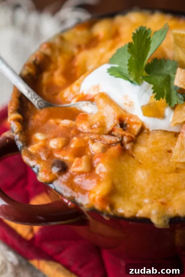Honey Lime Chicken Enchiladas Soup - A Flavorful Experience A vibrant and colorful bowl of Honey Lime Chicken Enchiladas Soup, rich with chicken, corn, beans, and roasted vegetables, topped with a dollop of sour cream and crunchy tortilla strips.