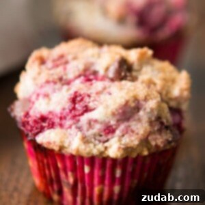 Decadent Gluten Free Dairy Free Raspberry Chocolate Chip Muffins 3 Gluten Free Dairy Free Raspberry Chocolate Chip Muffins