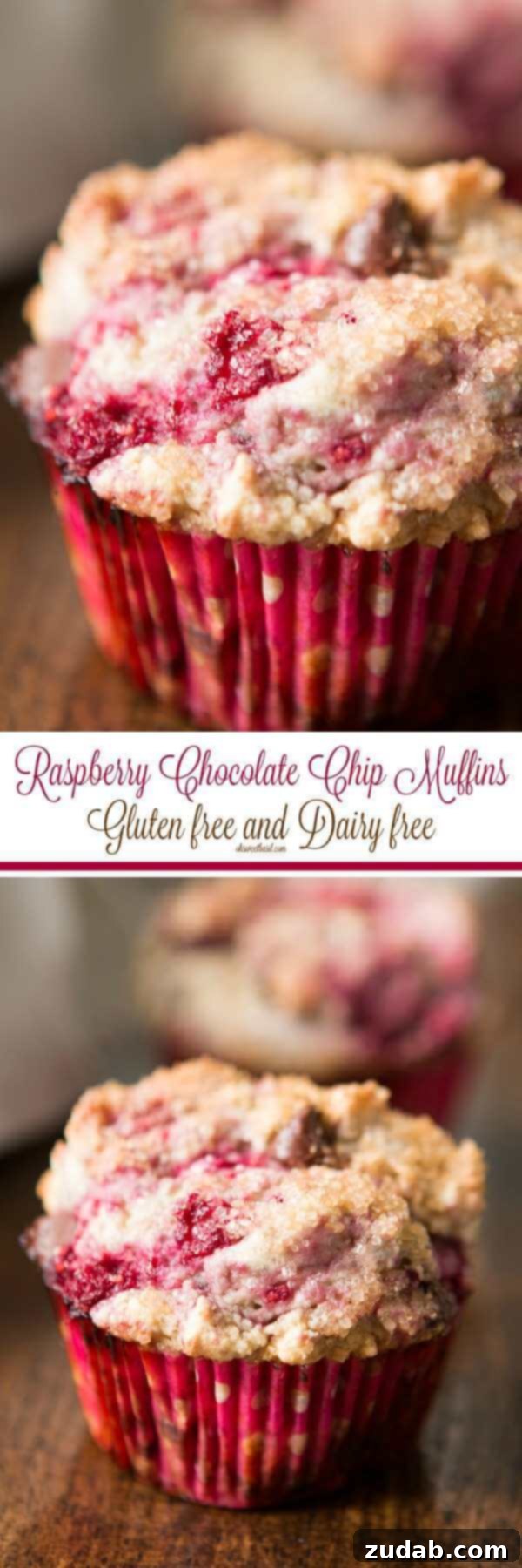 Decadent Gluten Free Dairy Free Raspberry Chocolate Chip Muffins 4 We love these gluten free dairy free raspberry chocolate chip muffins but you can make them with flour and butter too! ohsweetbasil.com