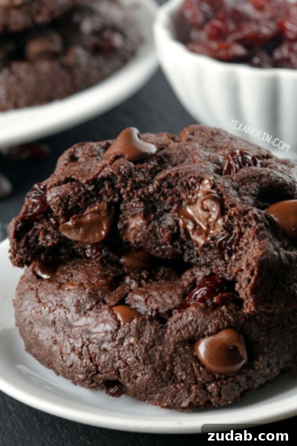 Decadent Gluten Free Dairy Free Raspberry Chocolate Chip Muffins 6 Double Chocolate Cherry Gluten Free Dairy Free Cookies