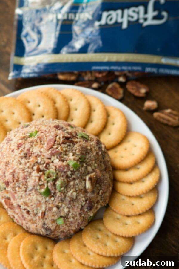 You'll be everyone's favorite when you show up at a party with this BBQ Bacon Cheese ball! It's easy to throw together, and simple flavors everyone likes. Bring the ultimate party appetizer: a BBQ Bacon Cheese Ball! Easy to prepare, packed with everyone's favorite flavors. A close-up of the delicious cheese ball.