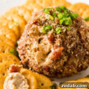 The best cheese ball recipe for a party! This BBQ bacon cheese ball is packed with cheese, BBQ sauce, bacon, and covered in a pecan coating. Find it on ohsweetbasil.com.