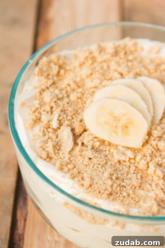 No-Bake Chocolate Oreo Bunny Garden Delight 7 Luscious No-Bake Golden Oreo Banana Cream Pudding