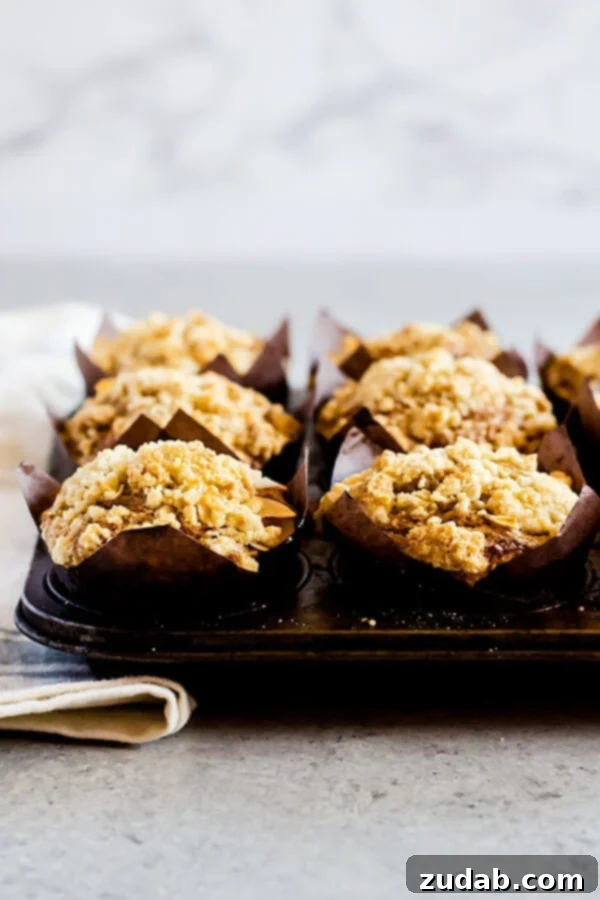Irresistibly Soft and Fluffy Carrot Cake Muffins with Crumb Topping Deliciously moist carrot cake muffins crowned with a sweet, buttery crumb topping, perfect for spring mornings.