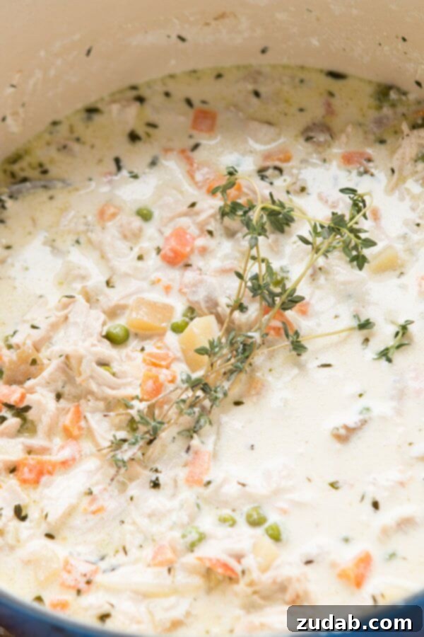 Velvety Chicken Pot Pie Soup 14 A hearty bowl of chicken pot pie soup, topped with fluffy mini biscuits, perfect for a cold evening.