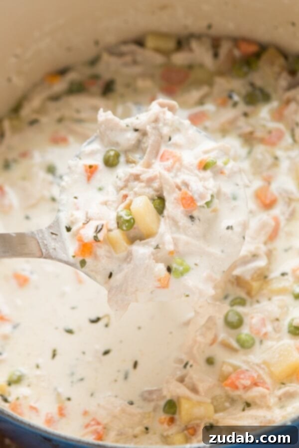Velvety Chicken Pot Pie Soup 17 Another view of the comforting chicken pot pie soup, highlighting its rich and inviting appearance.
