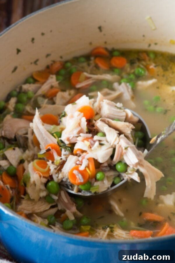 Velvety Chicken Pot Pie Soup 18 Chicken, wild rice, leeks and enough veggies to fill your belly! Chicken wild rice leek soup for all year round!