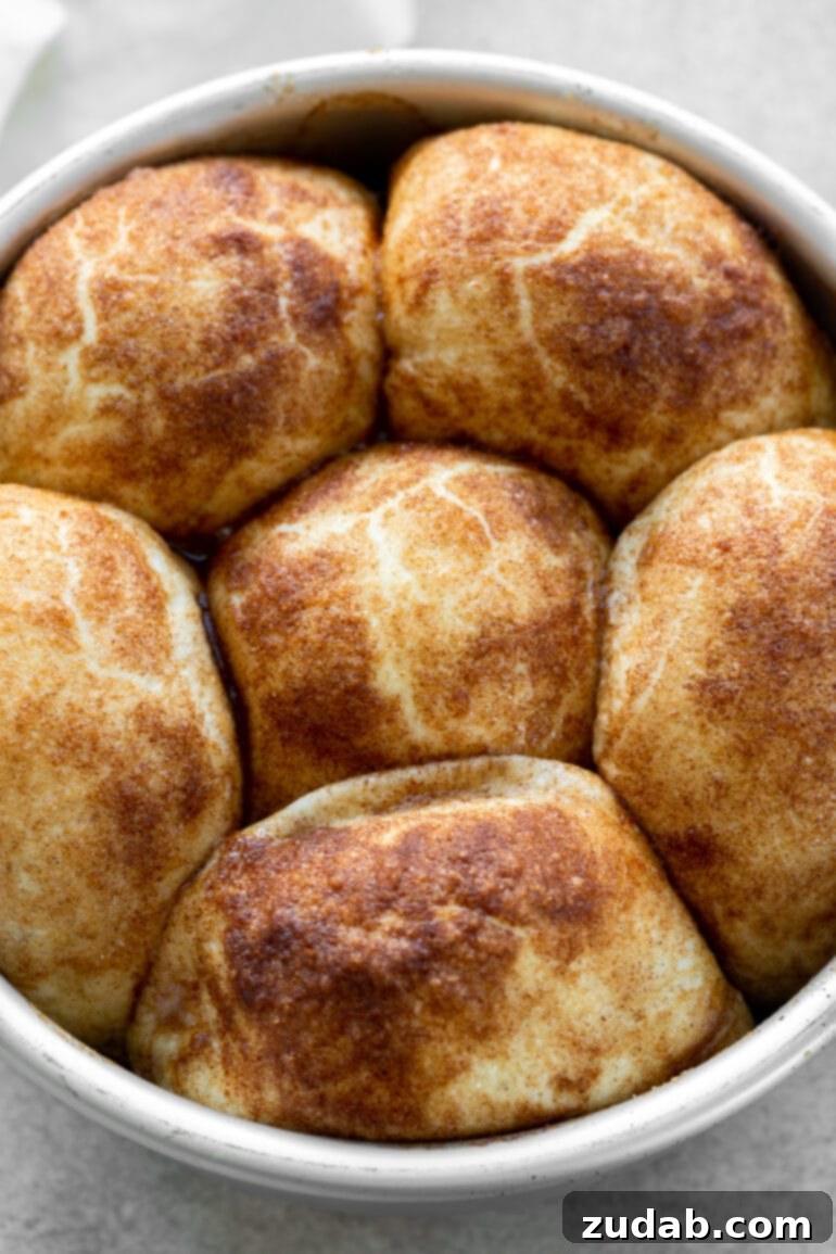 Resurrection Rolls 2 A round baking pan filled with six golden-brown baked resurrection rolls, generously dusted with cinnamon and sugar.