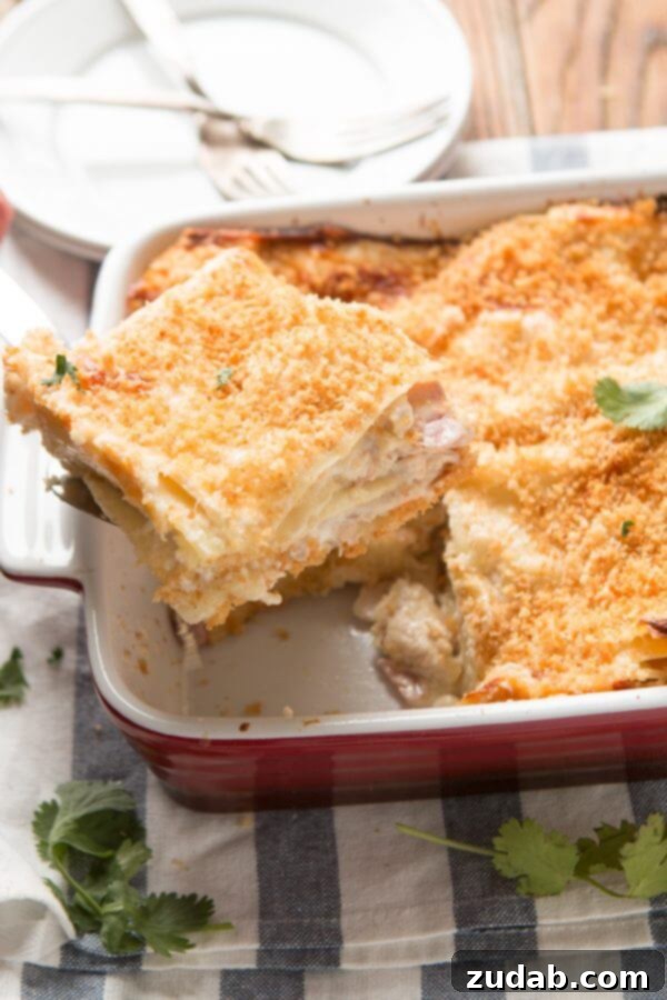 The secret ingredient for your creamy lasagna sauce: fresh nutmeg. Close-up of creamy white sauce for chicken cordon bleu lasagna, with a hint of nutmeg.