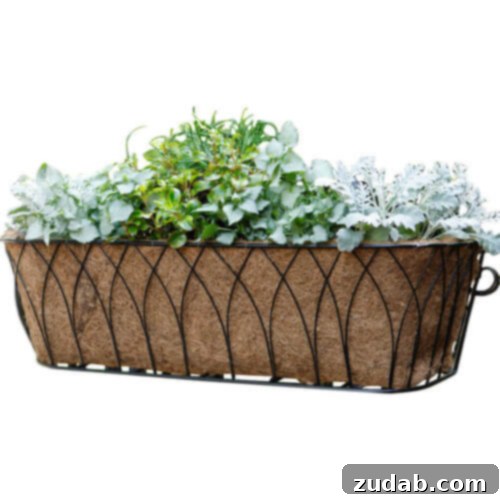 Thoughtful Mother's Day Presents 6 Nelumbo+Rectangular+Window+Box+Planter