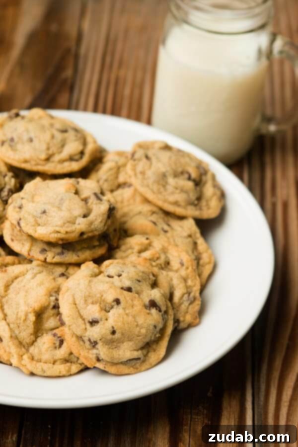 Nutella Dulce De Leche Dream Chocolate Chip Cookie Pie 4 A plate of warm, chewy Chocolate Chip Pudding Cookies, a classic dessert perfect for any occasion.