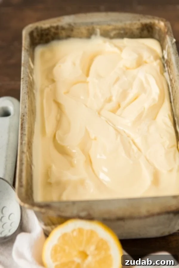 Comparison of texture between traditional ice cream and creamy frozen custard. Comparison of texture between traditional ice cream and creamy frozen custard.