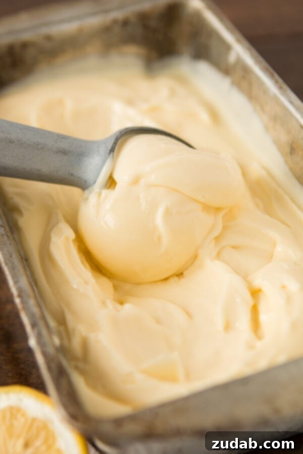 Freshly made homemade lemon curd, ideal for frozen custard. Freshly made homemade lemon curd, ideal for frozen custard.
