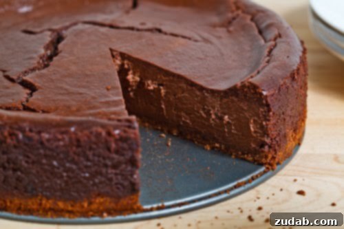A rich slice of Guinness Chocolate Cheesecake, topped with a creamy frosting, ready to be enjoyed as a dessert.