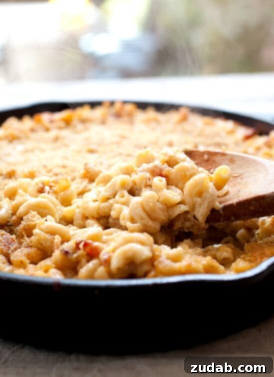 A bubbling, golden-brown Cast Iron Mac and Cheese, baked to perfection with a crispy top layer.