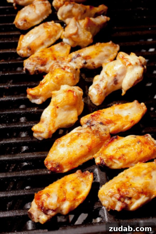 Everything you could ever want for Father's day, garlic parmesan grilled chicken wings! They are perfect for feeding a bunch of dude or just that one special dude. ;) how to grill chicken wings