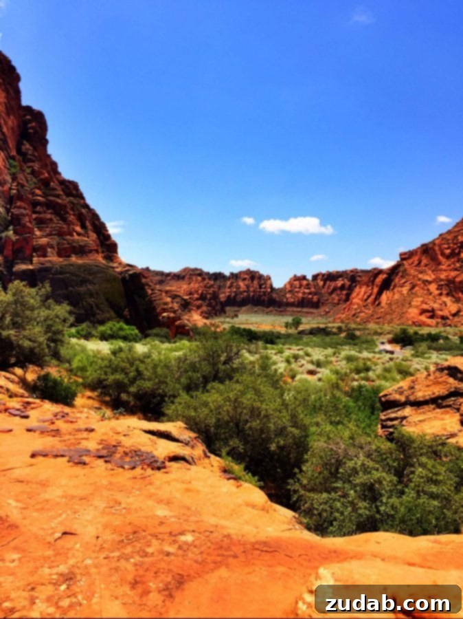 Explore the hiking trails of St. George and Snow Canyon A scenic hiking trail through the iconic red rock landscape of St. George, Utah, under a clear blue sky