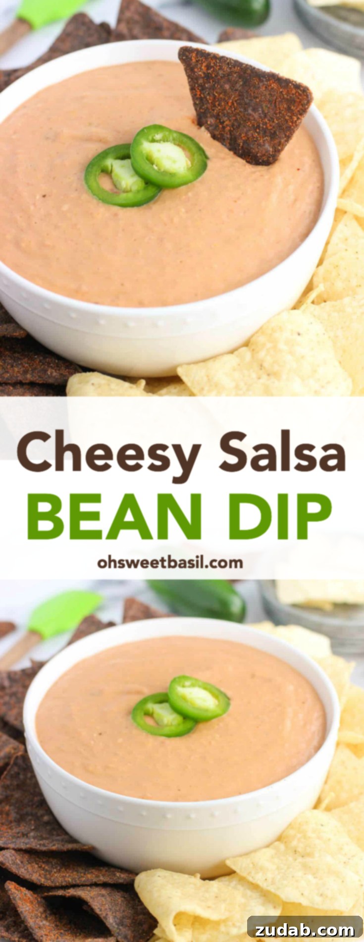 Ultimate Cheesy Bean Dip 5 A bowl of delicious cheesy salsa bean dip with chips