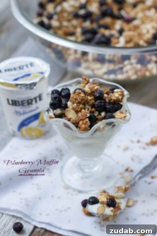 Blueberry Muffin Granola served with tangy lemon Liberte yogurt, a perfect combination for a wholesome breakfast or a yummy snack.
