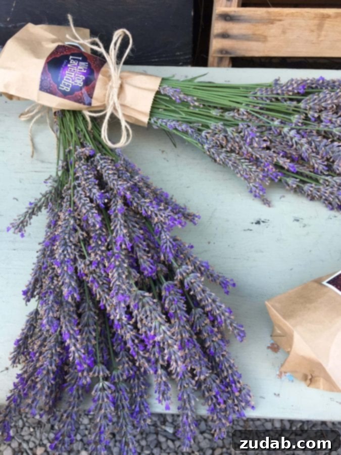 Fresh Lavender from Portland Market A beautiful bouquet of fresh lavender flowers, likely from a Portland farmers market.