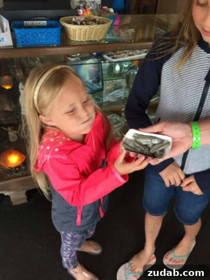 Seaside Aquarium Seal Feeding Experience A family feeding seals at the Seaside Aquarium, with a child cautiously extending a fish towards a playful seal.