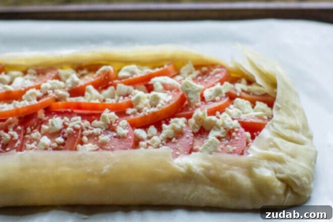 This Mozzarella Tomato Tart has a butter-garlic phyllo crust with mozzarella, tomatoes, feta, and basil. Makes a great appetizer or light meal for summer! This Mozzarella Tomato Tart has a butter-garlic phyllo crust with mozzarella, tomatoes, feta, and basil. Makes a great appetizer or light meal for summer!