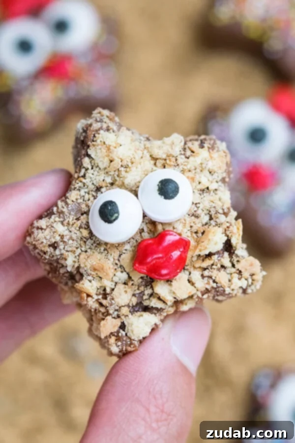 Chocolate Starfish Snack Close-Up Close-up of a chocolate starfish snack with sprinkles and candy eyes. A delightful no-bake treat for children.