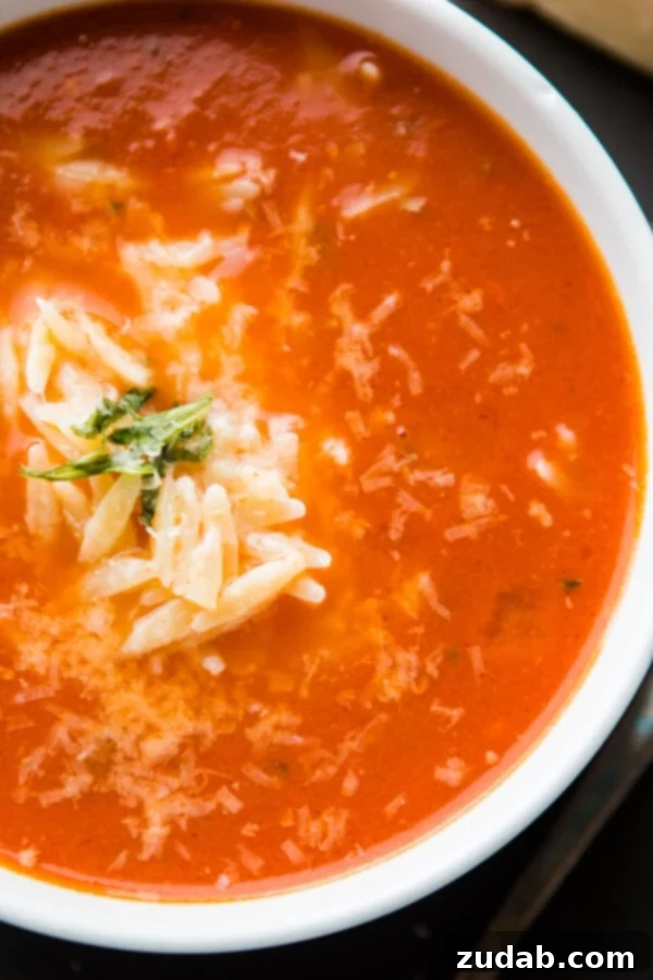 A vibrant bowl of Zupas Copycat Tomato Basil Orzo Soup, showcasing the creamy texture and fresh basil topping, ready to be enjoyed.