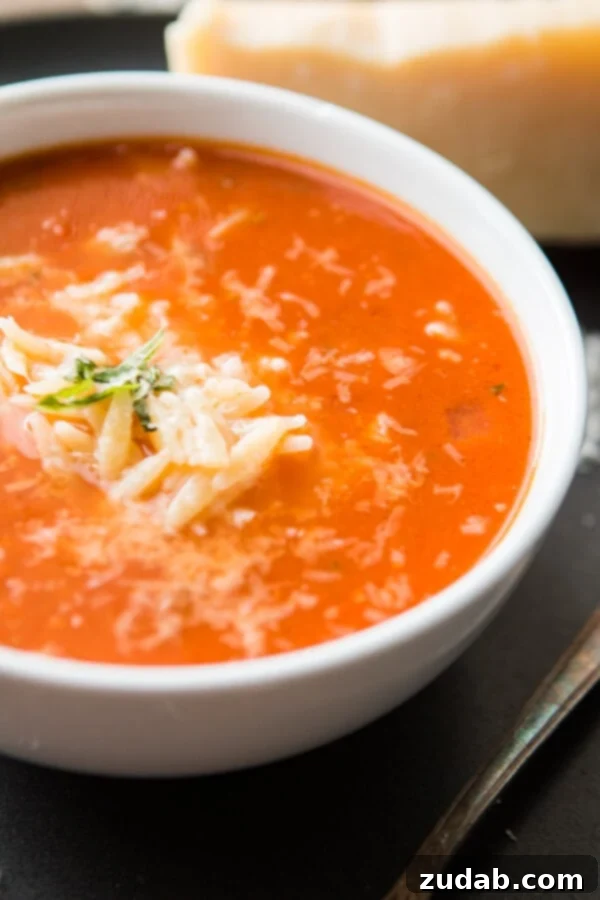 Close-up of Orzo pasta in Zupas Copycat Tomato Basil Orzo Soup, highlighting the unique rice-like shape of the pasta.