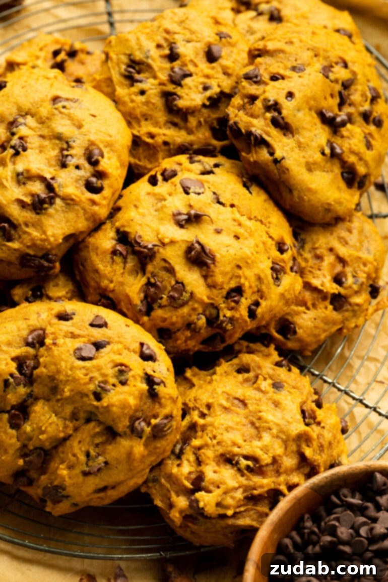 The Ultimate Pumpkin Chocolate Chip Cookies 2 A photo of several thick and chewy pumpkin chocolate chip cookies piled on each other, showcasing their rich texture and abundant chocolate chips.