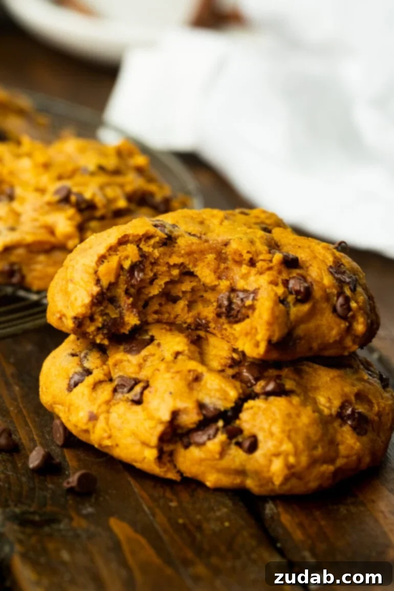 The Ultimate Pumpkin Chocolate Chip Cookies 3 A photo of a thick pumpkin chocolate chip cookie with a piece broken off, revealing its soft, chewy interior and melted chocolate chips, sitting on top of a whole cookie.