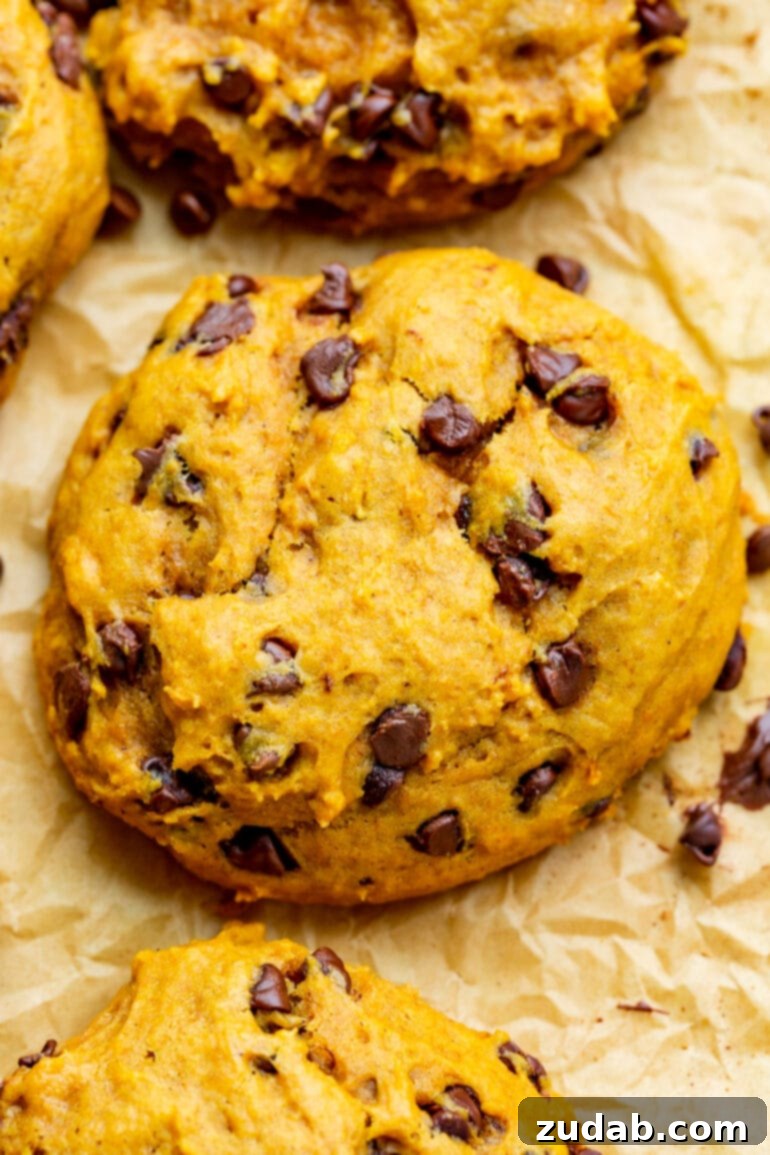 The Ultimate Pumpkin Chocolate Chip Cookies 5 A top-down photo capturing a single thick and chewy pumpkin chocolate chip cookie, highlighting its irresistible texture.