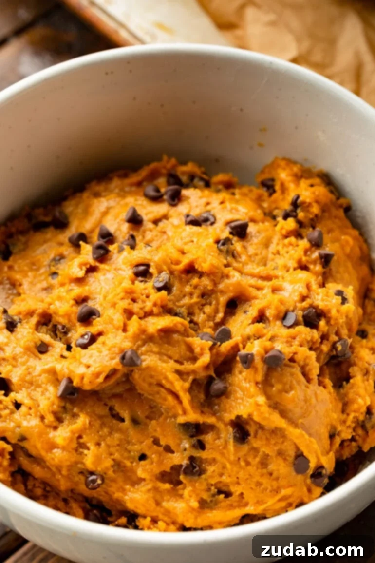 The Ultimate Pumpkin Chocolate Chip Cookies 8 A photo of pumpkin chocolate chip cookie dough in a white mixing bowl, highlighting its perfect consistency and visible chocolate chips.