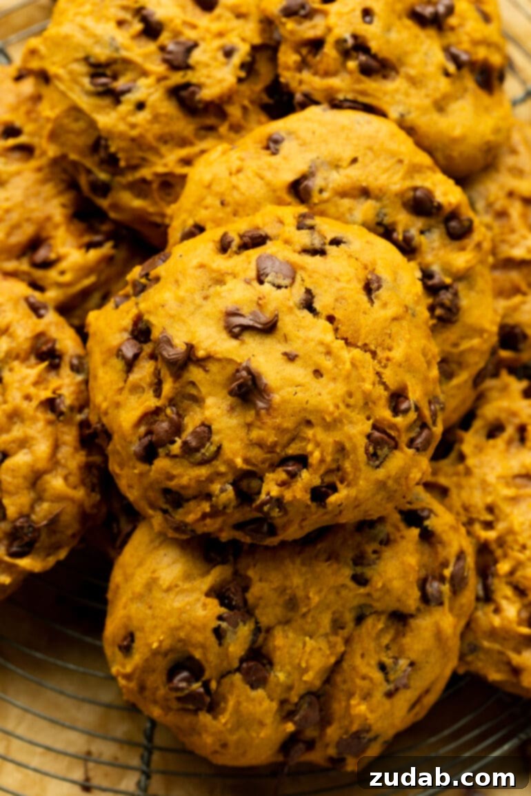The Ultimate Pumpkin Chocolate Chip Cookies 9 A photo of freshly baked pumpkin chocolate chip cookies piled on top of each other, ready to be enjoyed.