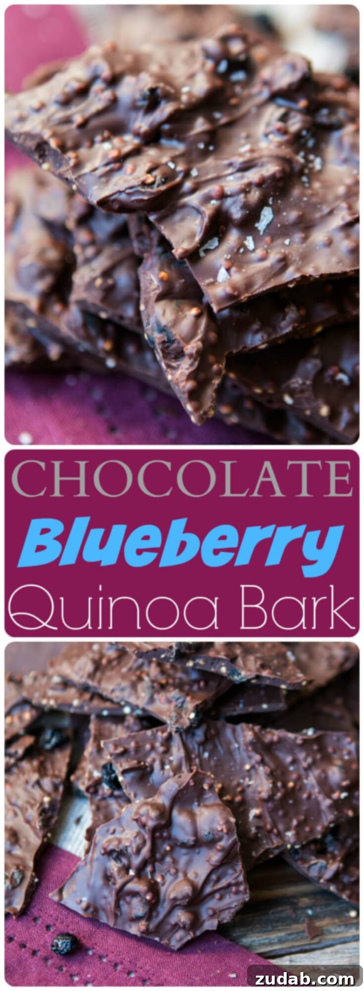 Delicious Chocolate Blueberry Quinoa Bark 2 Indulge in our exquisite Dark Chocolate Blueberry Quinoa Bark, a perfect blend of rich chocolate, tart blueberries, and crunchy quinoa for a satisfying healthy snack. ohsweetbasil.com
