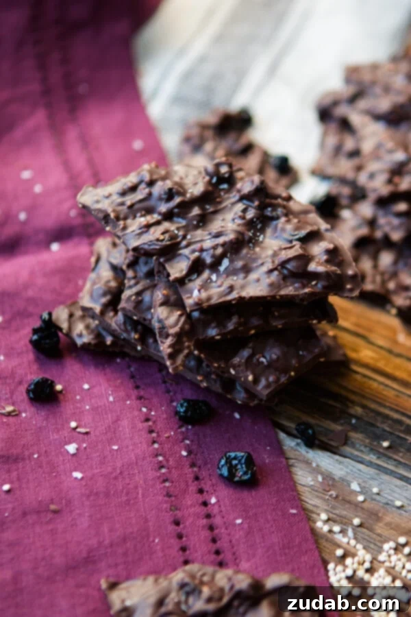 Indulge in our exquisite Dark Chocolate Blueberry Quinoa Bark, a perfect blend of rich chocolate, tart blueberries, and crunchy quinoa for a satisfying healthy snack. ohsweetbasil.com Make our chocolate blueberry quinoa bark for a simple, healthy, and gluten-free dark chocolate snack perfect for any occasion. ohsweetbasil.com