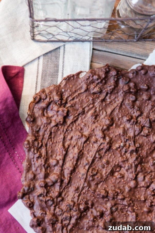Indulge in our exquisite Dark Chocolate Blueberry Quinoa Bark, a perfect blend of rich chocolate, tart blueberries, and crunchy quinoa for a satisfying healthy snack. ohsweetbasil.com Our Chocolate Blueberry Quinoa Bark recipe is a healthy, homemade dark chocolate snack that's quick to prepare and perfect for gifting. ohsweetbasil.com