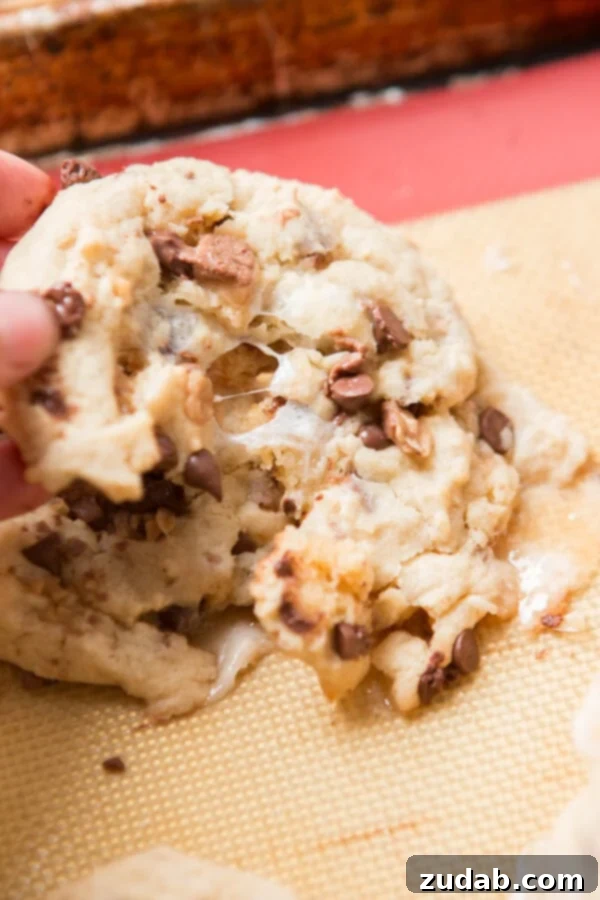 Country Crock: Your Secret Ingredient for Perfect Marshmallow Toffee Cookies Family baking fun: hands mixing cookie dough with Country Crock spread, preparing marshmallow toffee cookies