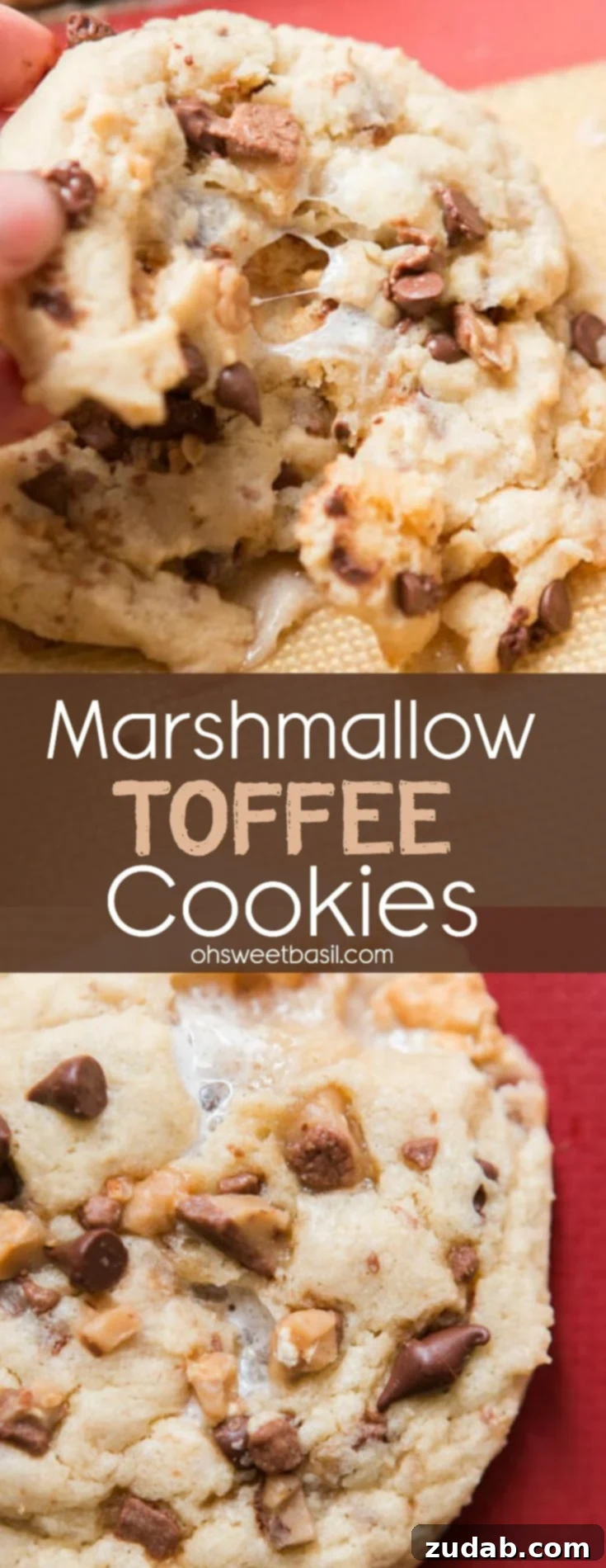 Gooey Toffee Marshmallow Cookies 4 A beautifully textured marshmallow toffee cookie, rich with chocolate chips, toffee, and caramelized marshmallows.