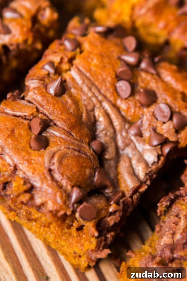 Perfect Pumpkin Bars with Nutella Swirls Delicious and Easy Nutella Swirled Pumpkin Bars for Fall