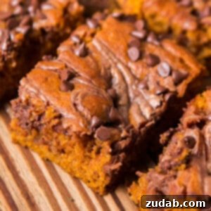 Well this is it, the only pumpkin recipe you need for the entire holiday season. I know, I've posted a lot of pumpkin but Nutella Swirled Pumpkin Bars are the winners. ohsweetbasil.com