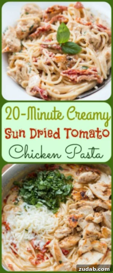 Velvety Sun-Dried Tomato Chicken Pasta in Minutes 2 One skillet creamy sun-dried tomato chicken pasta ready in 20 minutes