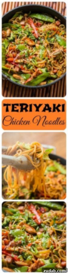 Teriyaki Chicken Noodle Stir-fry 2 Delicious Teriyaki Chicken Noodles with fresh vegetables and succulent chicken pieces.