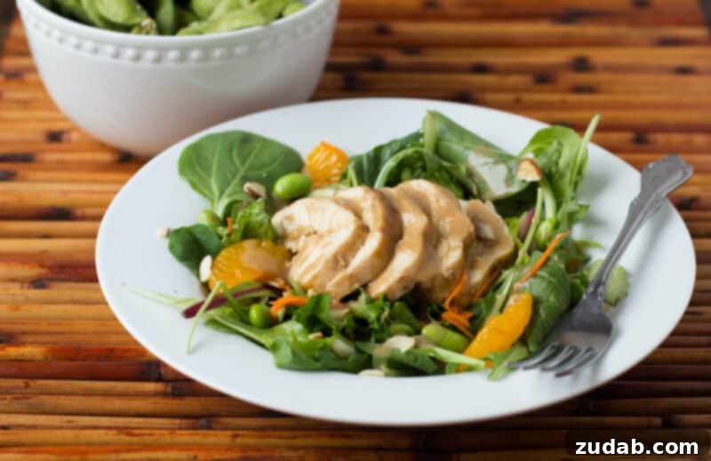 Teriyaki Chicken Noodle Stir-fry 12 Organic Girl Teriyaki Ginger Salad, a fresh and zesty option.