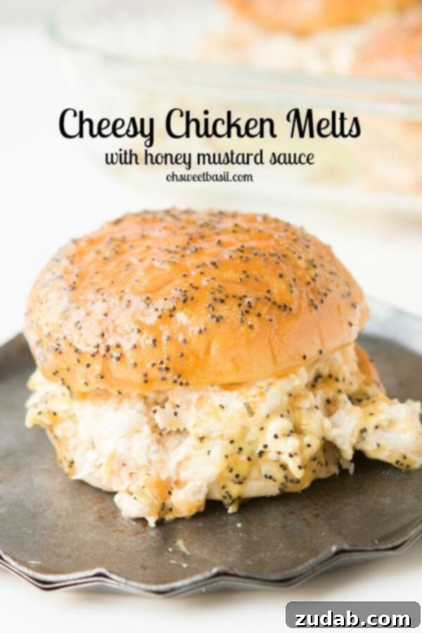 Amazing Cheesy Chicken Melts with Honey Mustard Poppy Seed Sauce Plate of golden brown Cheesy Chicken Melts, garnished with fresh herbs.