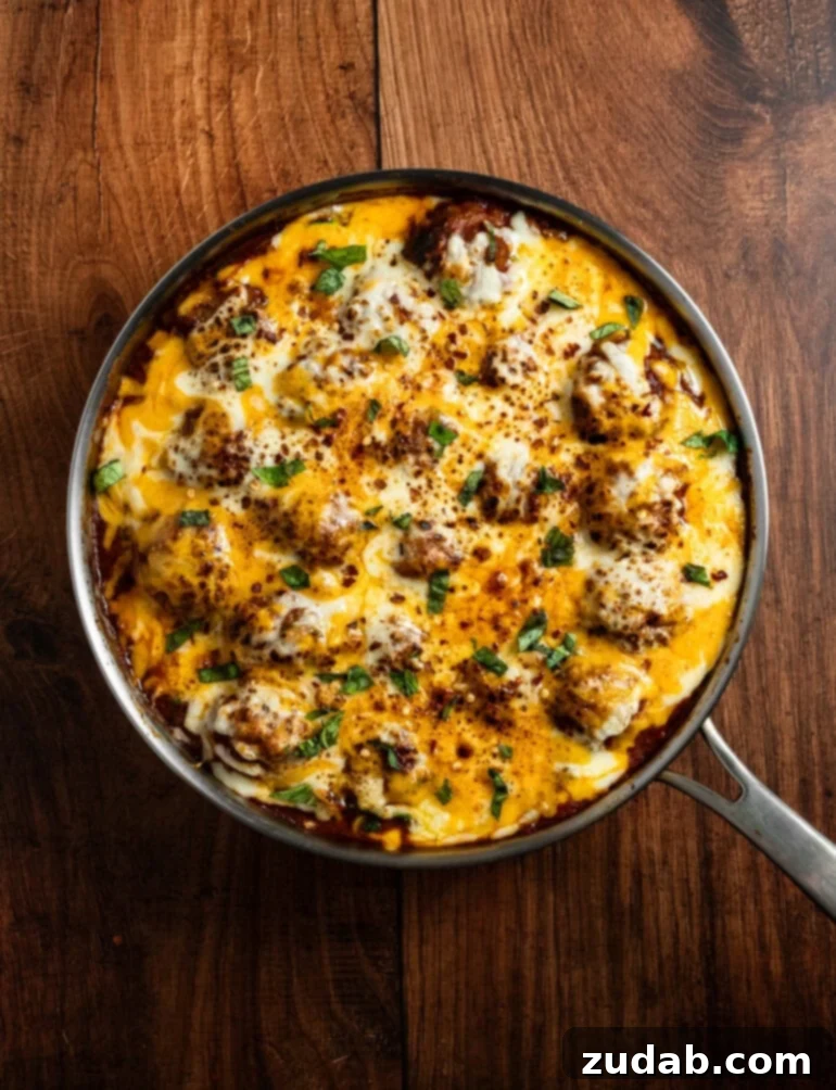 An inviting overhead photo of a skillet overflowing with savory protein and vibrant squash noodles, beautifully arranged and ready to be enjoyed as a hearty, healthy meal.