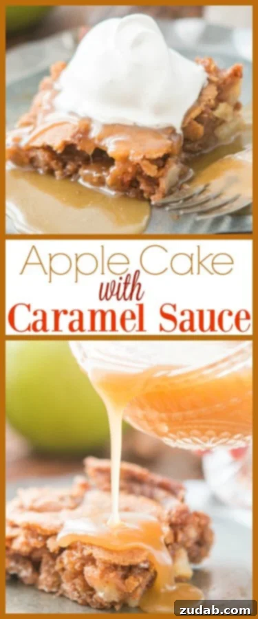 Decadent Apple Cake with Caramel Drizzle 2 Delicious Apple Cake with Homemade Caramel Sauce on a white plate, ready to be enjoyed. The perfect comforting classic dessert from ohsweetbasil.com